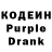 Кодеиновый сироп Lean Purple Drank Sylvia Newton