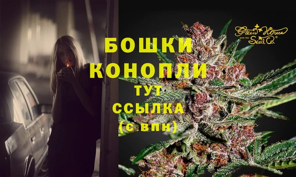 амф Бронницы