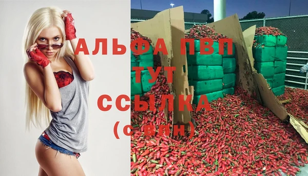 прущий лед Бородино