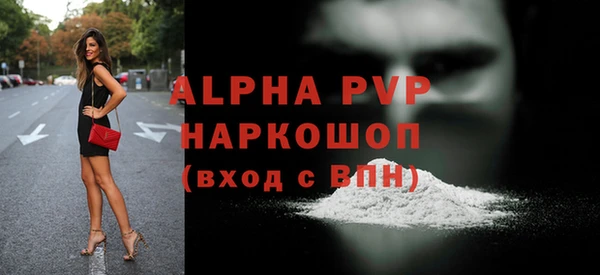 прущий лед Бородино