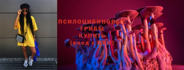 прущий лед Бородино