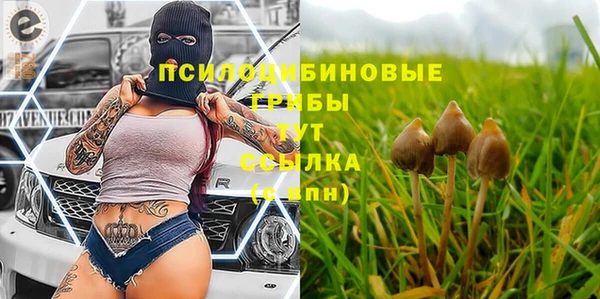 прущий лед Бородино