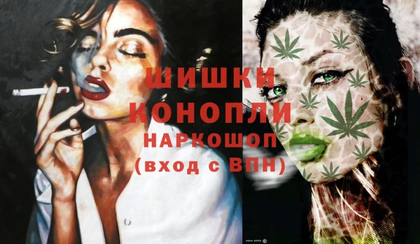 прущий лед Бородино