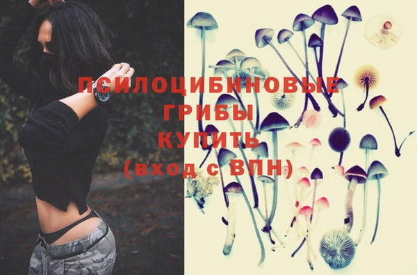 прущий лед Бородино