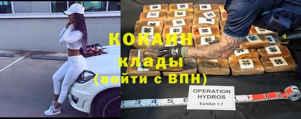 прущий лед Бородино