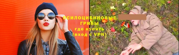 прущий лед Бородино